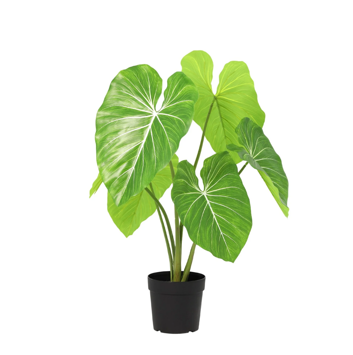 ARTIFICIAL Philodendron