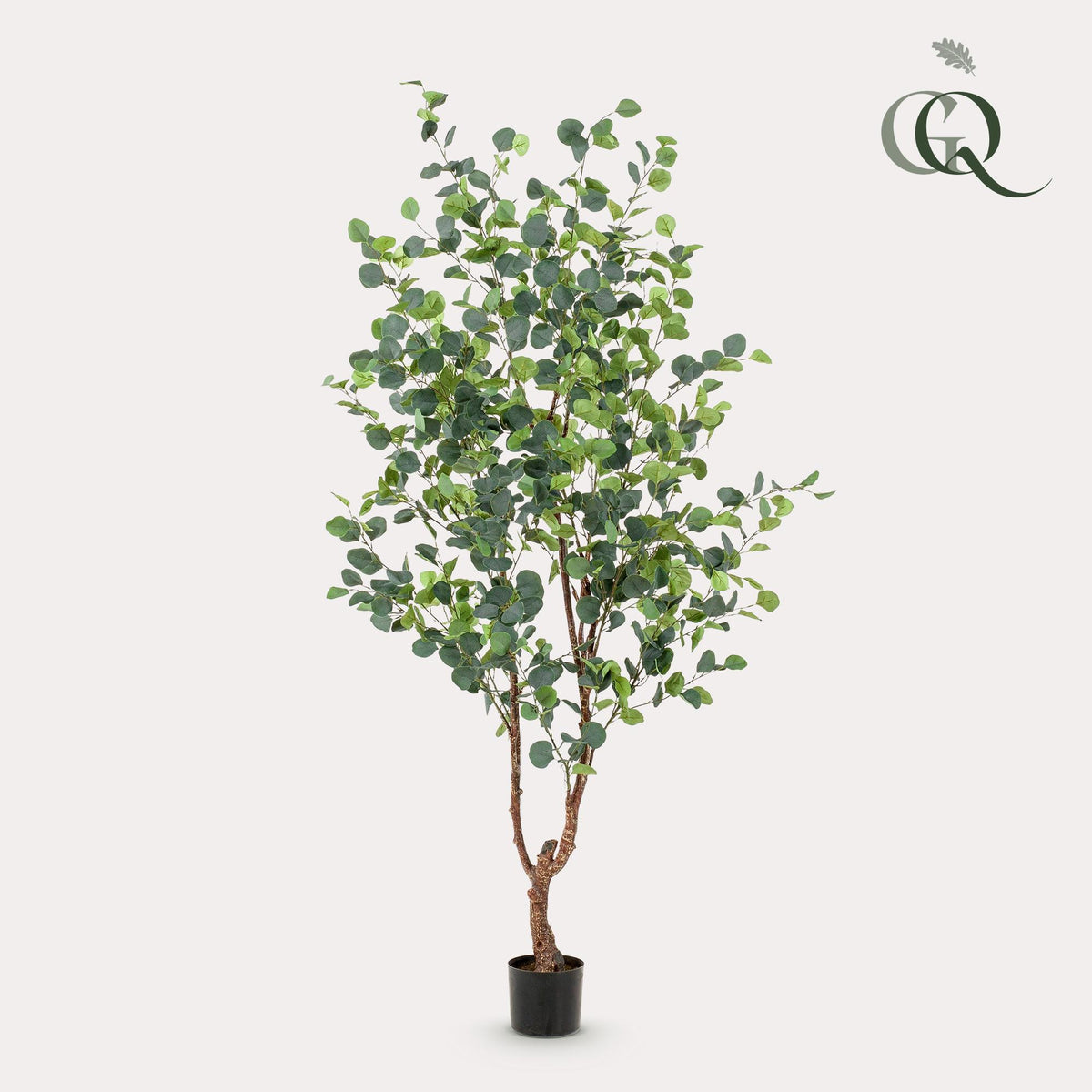 Kunstpflanze - Eucalyptusbaum - Blauer Gummibaum
