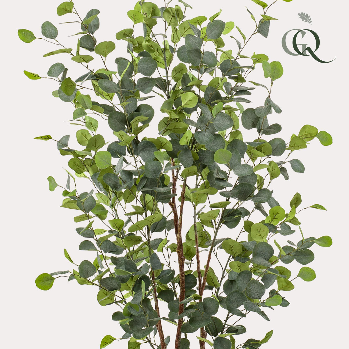 Kunstpflanze - Eucalyptusbaum - Blauer Gummibaum