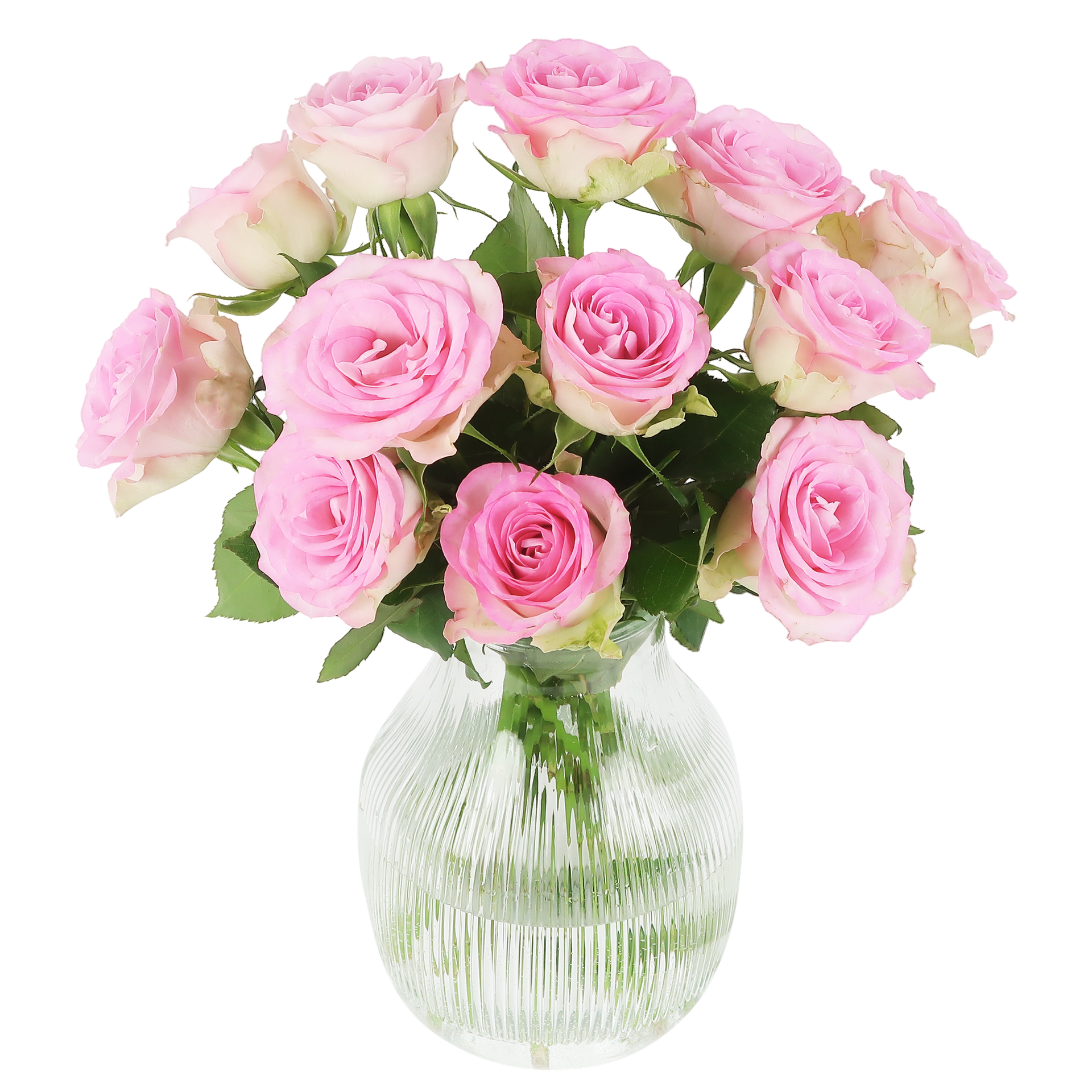 Rosa Rosen im Briefkasten – Sweet Roses