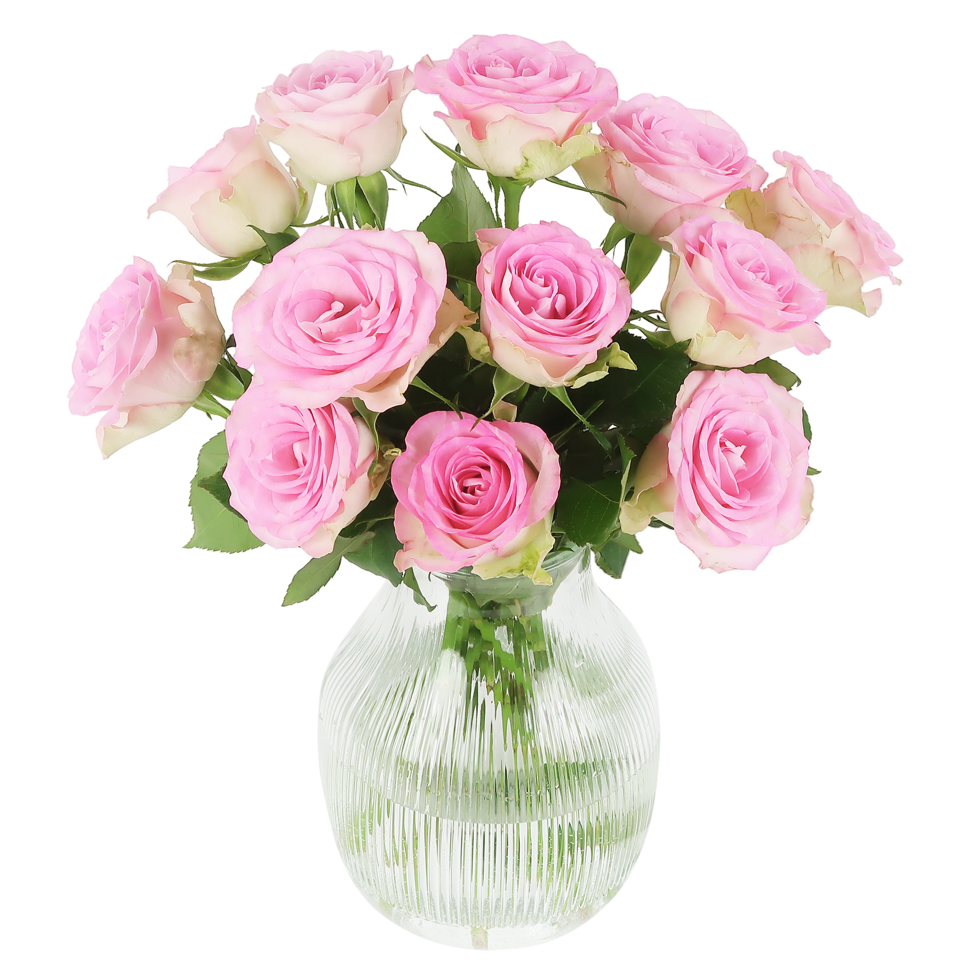 Süße Rosen -  rosa Rosen im Briefkastenpaket