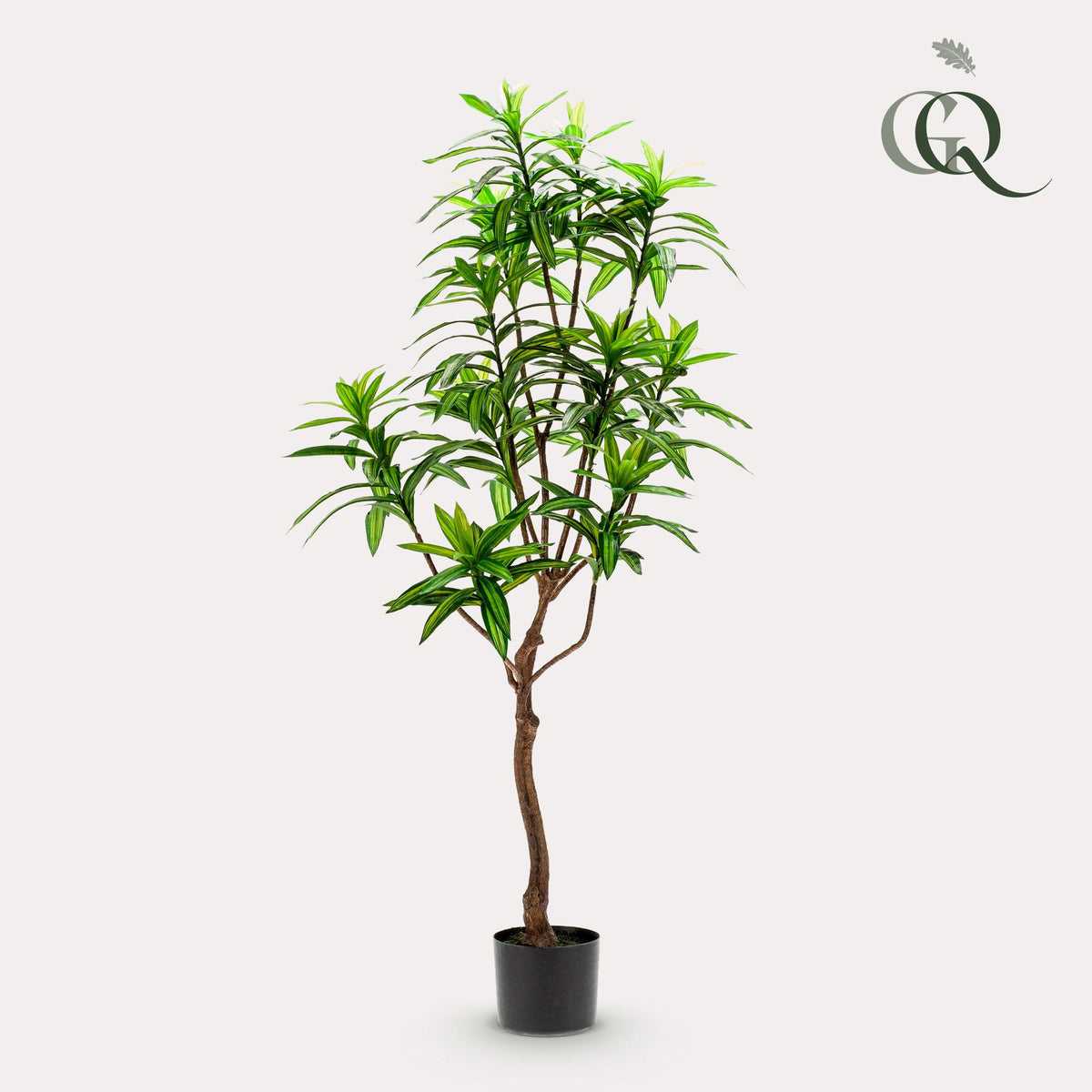 Kunstpflanze - Dracaena - Drachenbaum