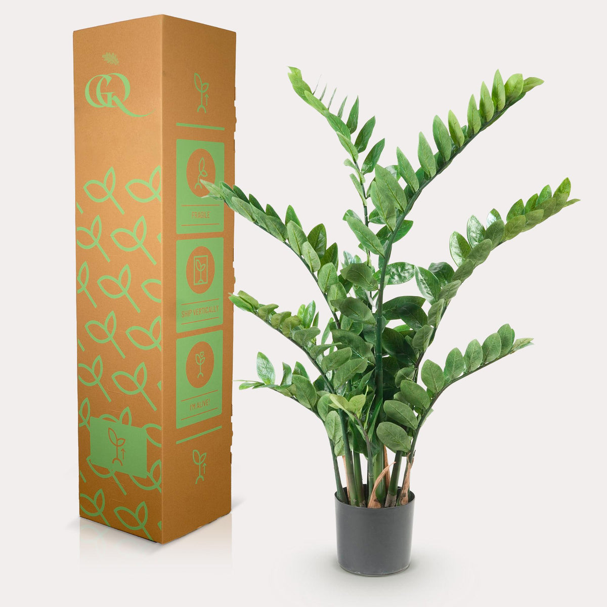 Kunstpflanze - Zamioculcas - Zimmerpalme