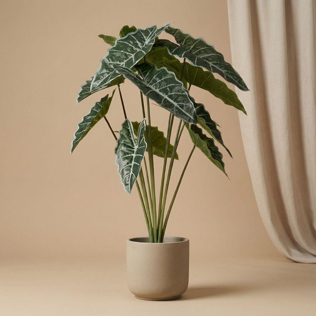Alocasia 80cm - Kunstplant - Artificial plant