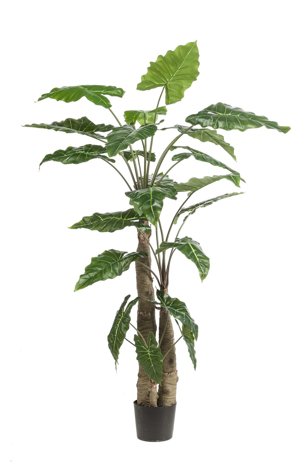 Kunstpflanze - Alocasia