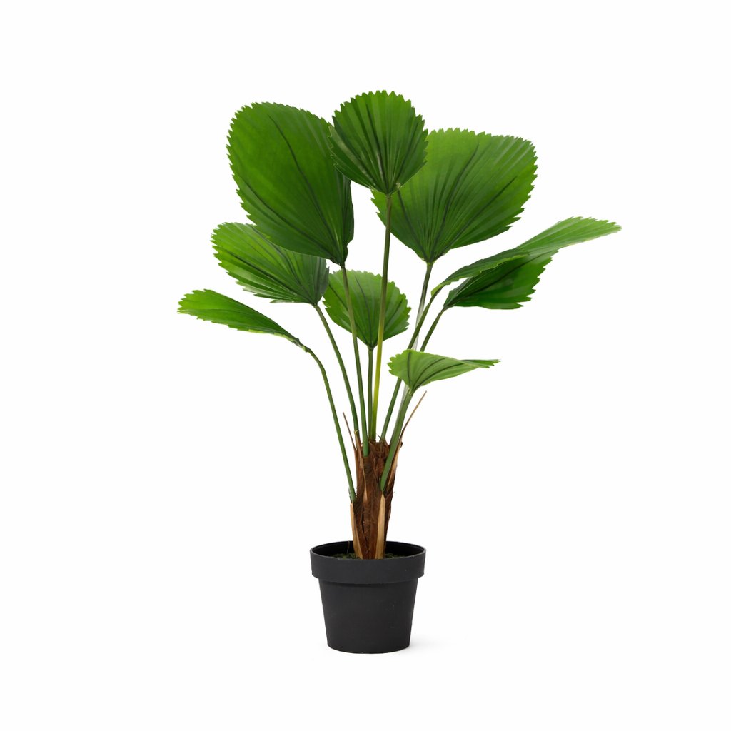 ARTIFICIAL Licuala Grandis