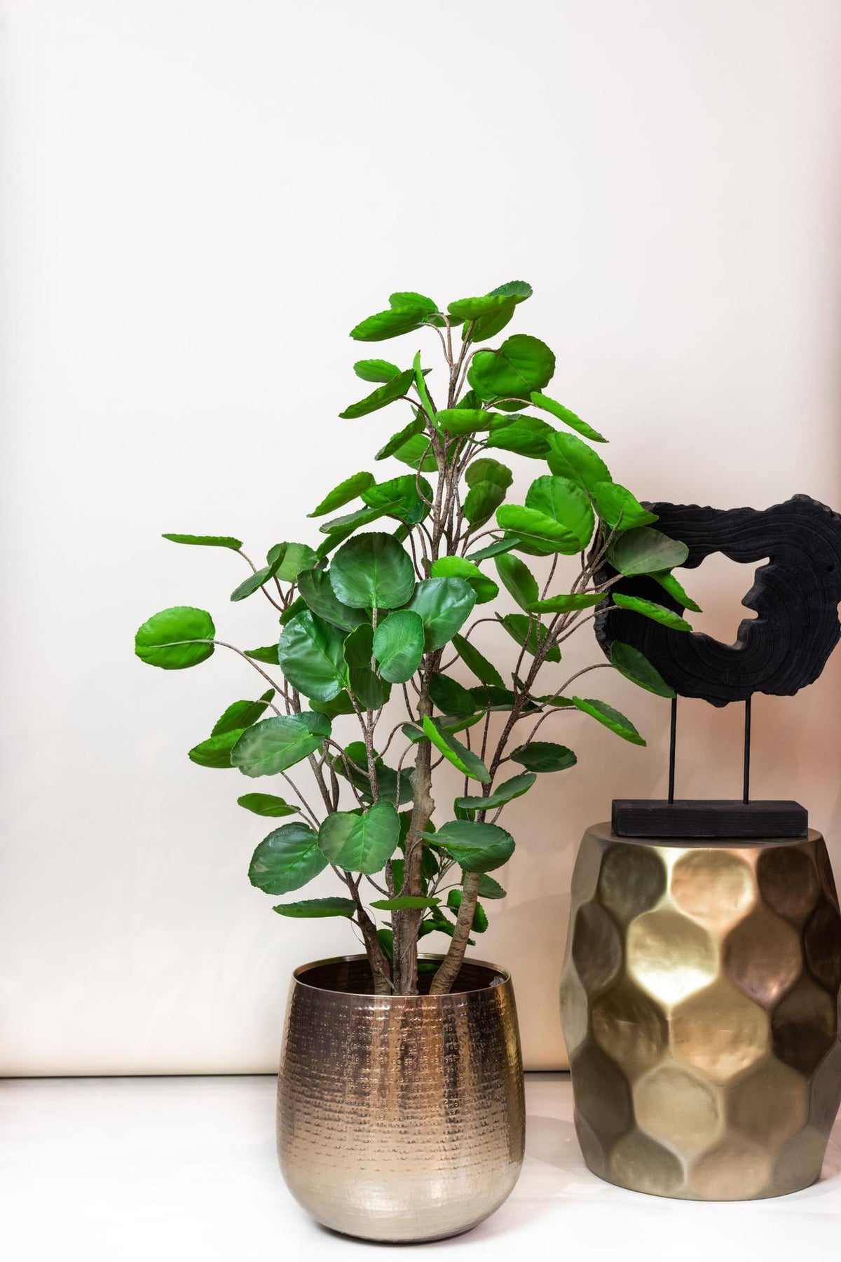 Kunstpflanze - Polyscias - Aralia