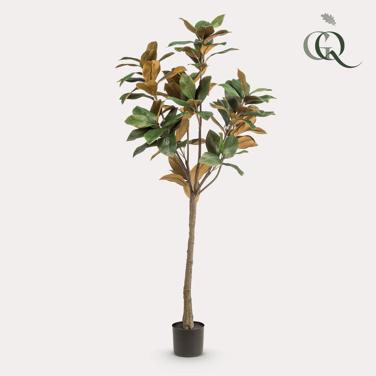 Kunstpflanze - Magnolia Grandiflora