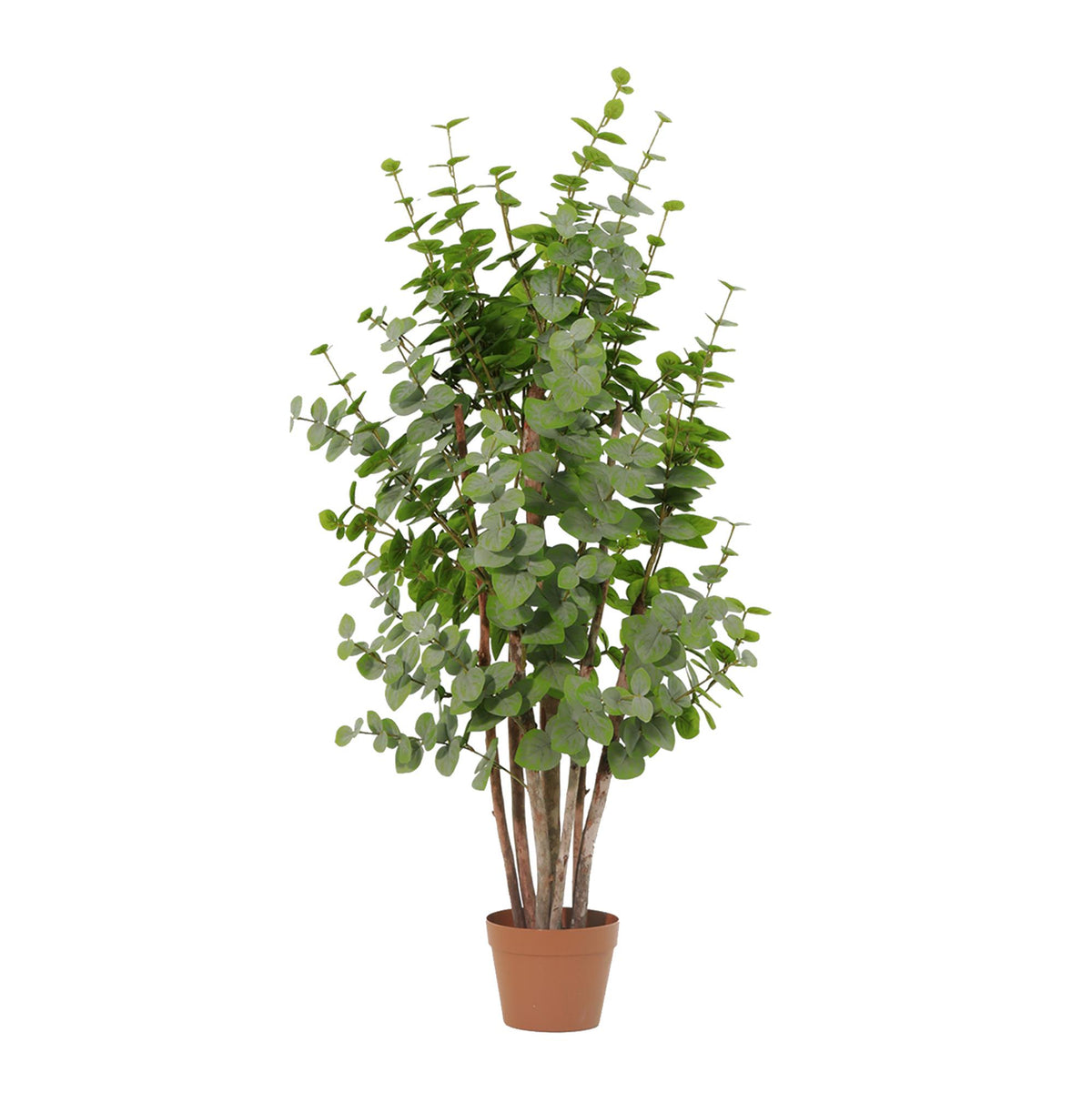 ARTIFICIAL Eucalyptus green