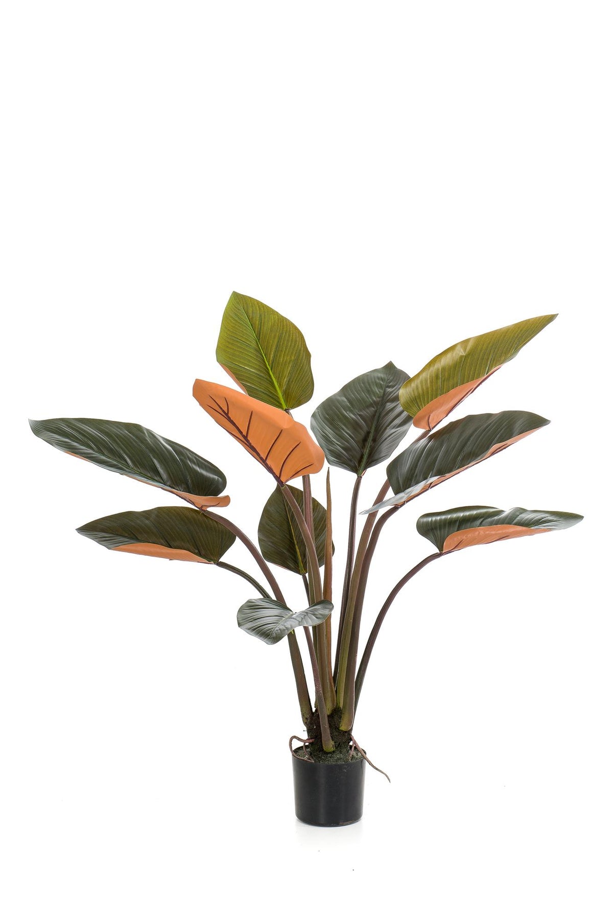Kunstpflanze - Philodendron