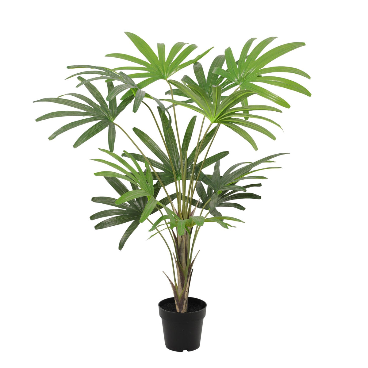 ARTIFICIAL Rhapis Excelsa