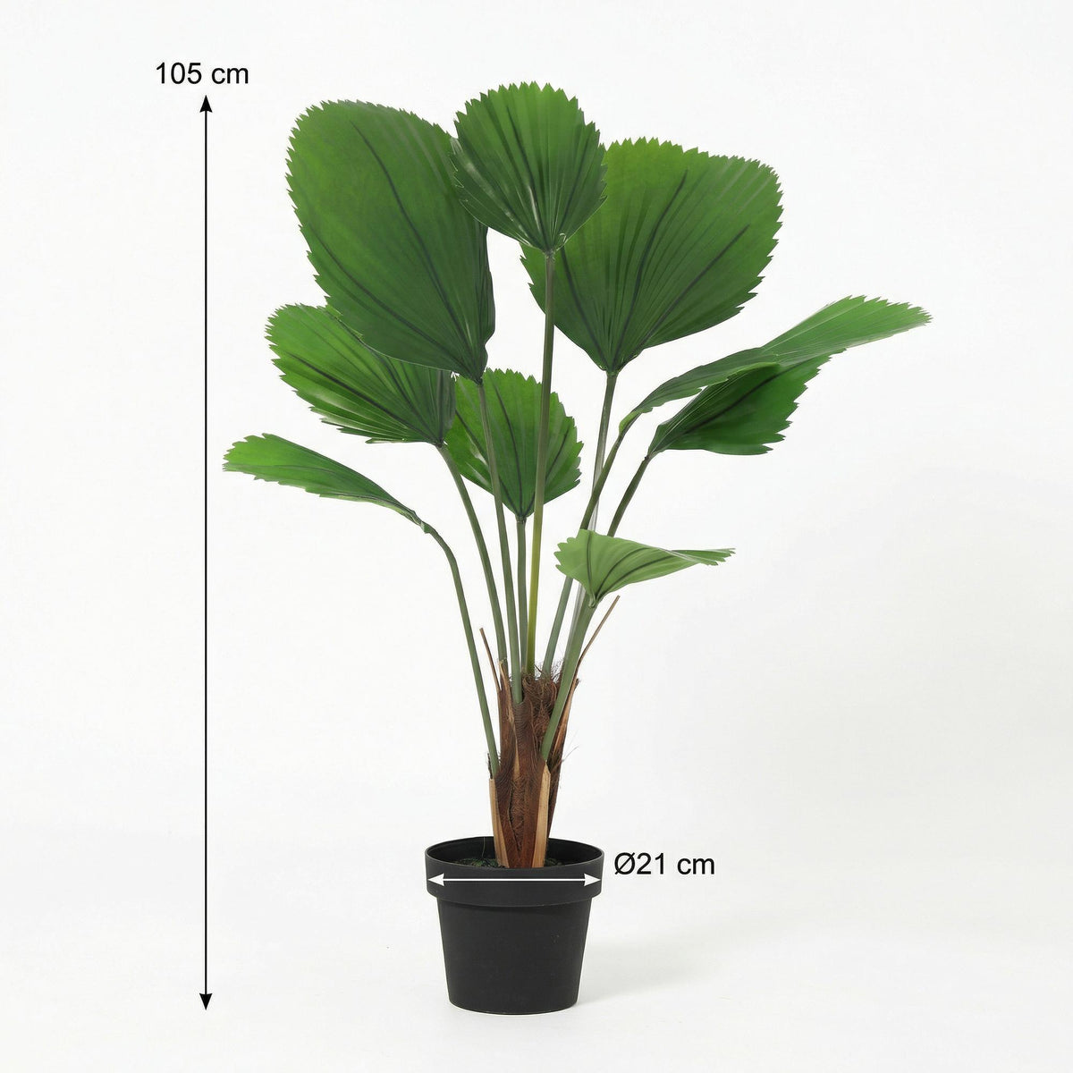 ARTIFICIAL Licuala Grandis
