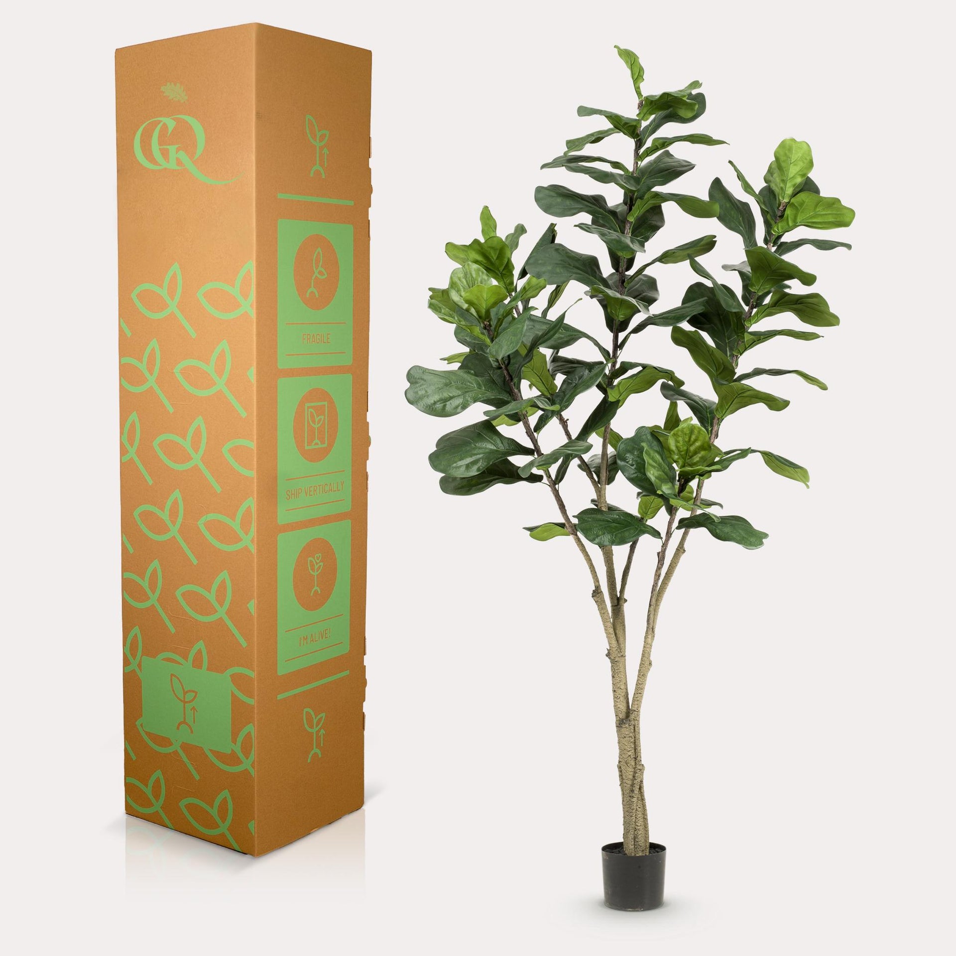 Kunstpflanze Ficus Lyrata (Geigenfeige)