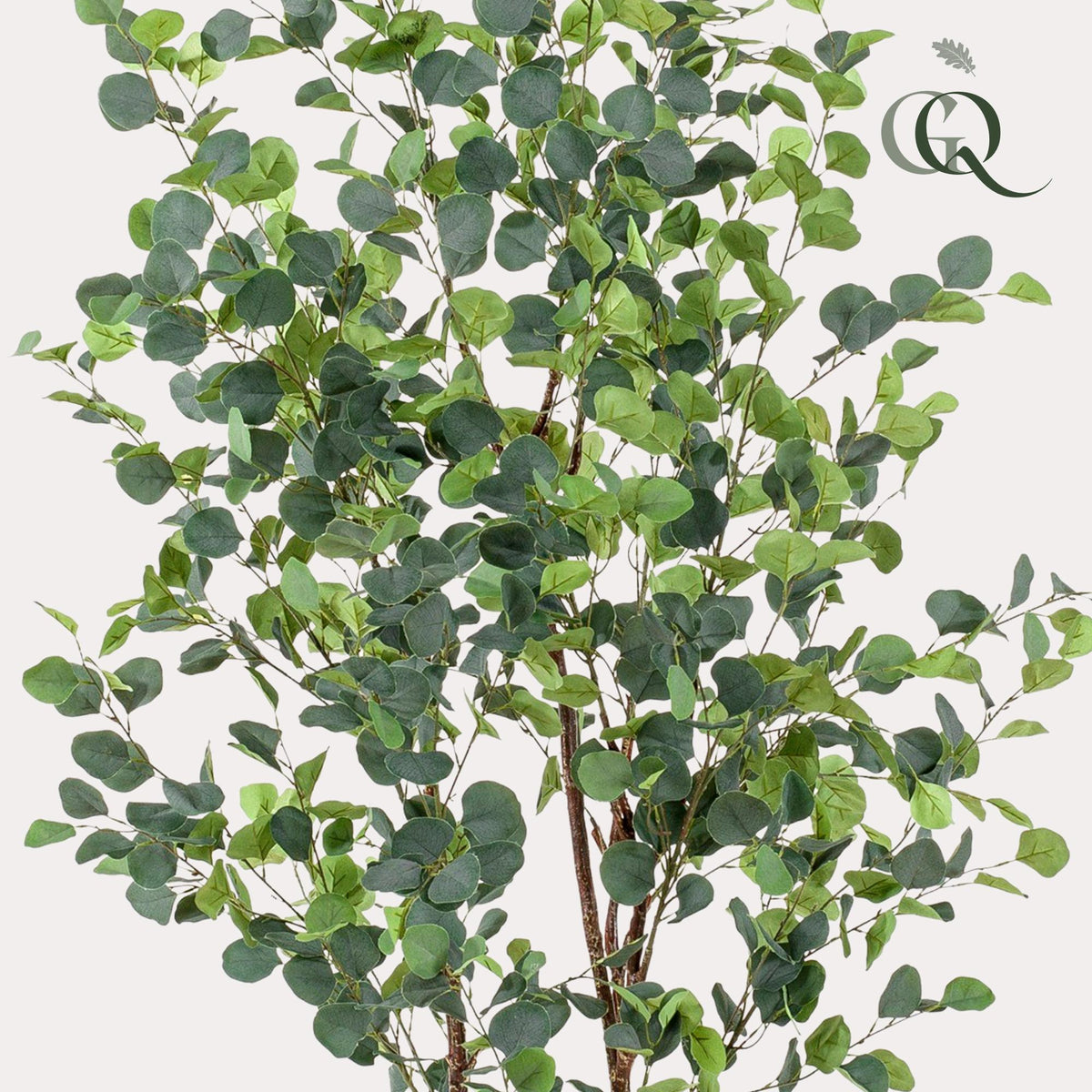 Kunstpflanze - Eucalyptusbaum - Blauer Gummibaum