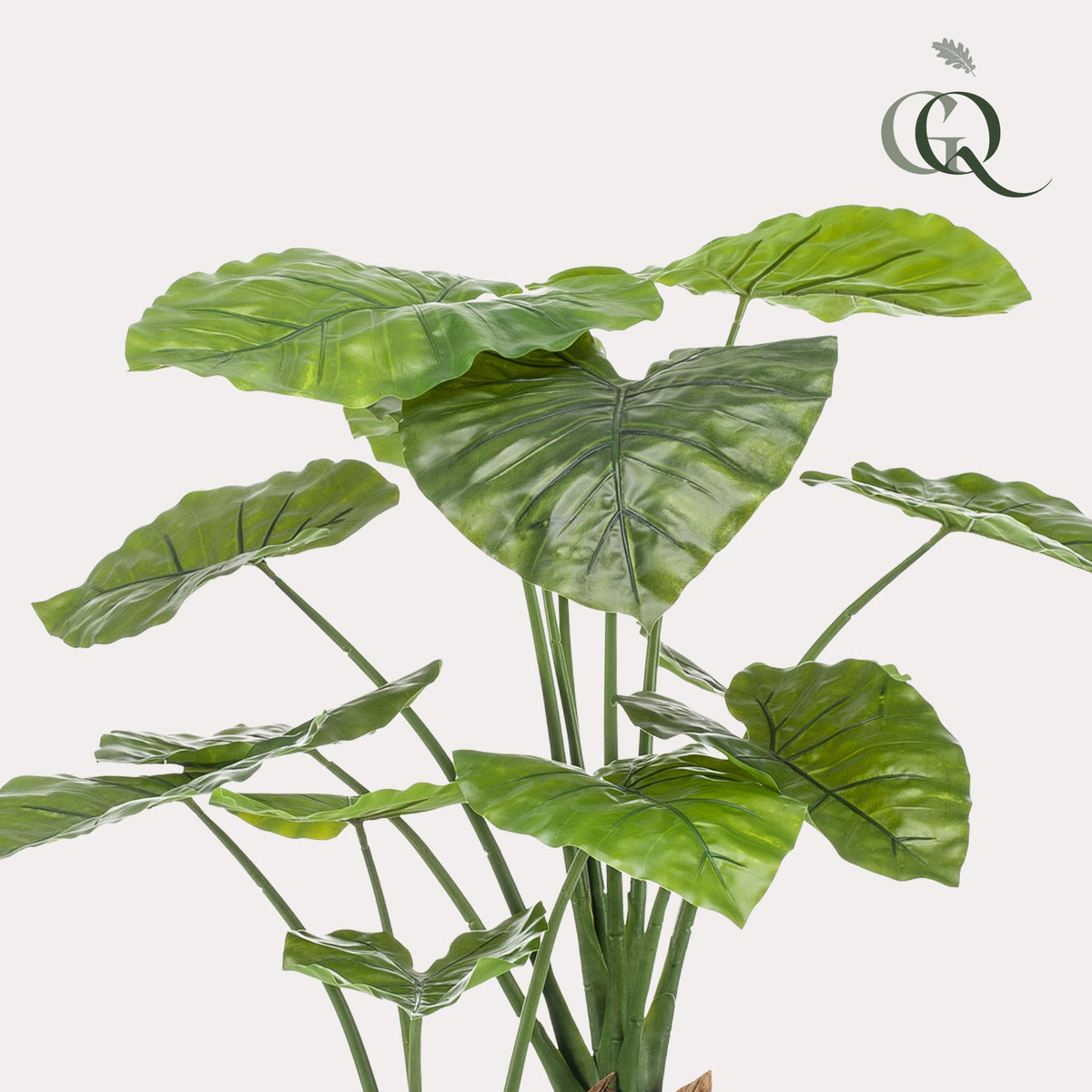 kunstplant - Alocasia - Olifantsoor
