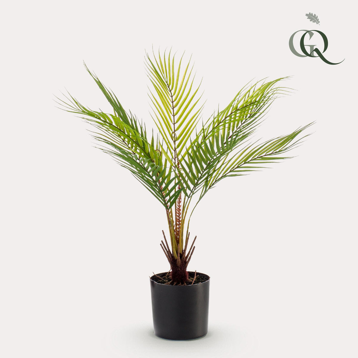 Kunstpflanze - Chamaedorea Elegans- Bergpalme