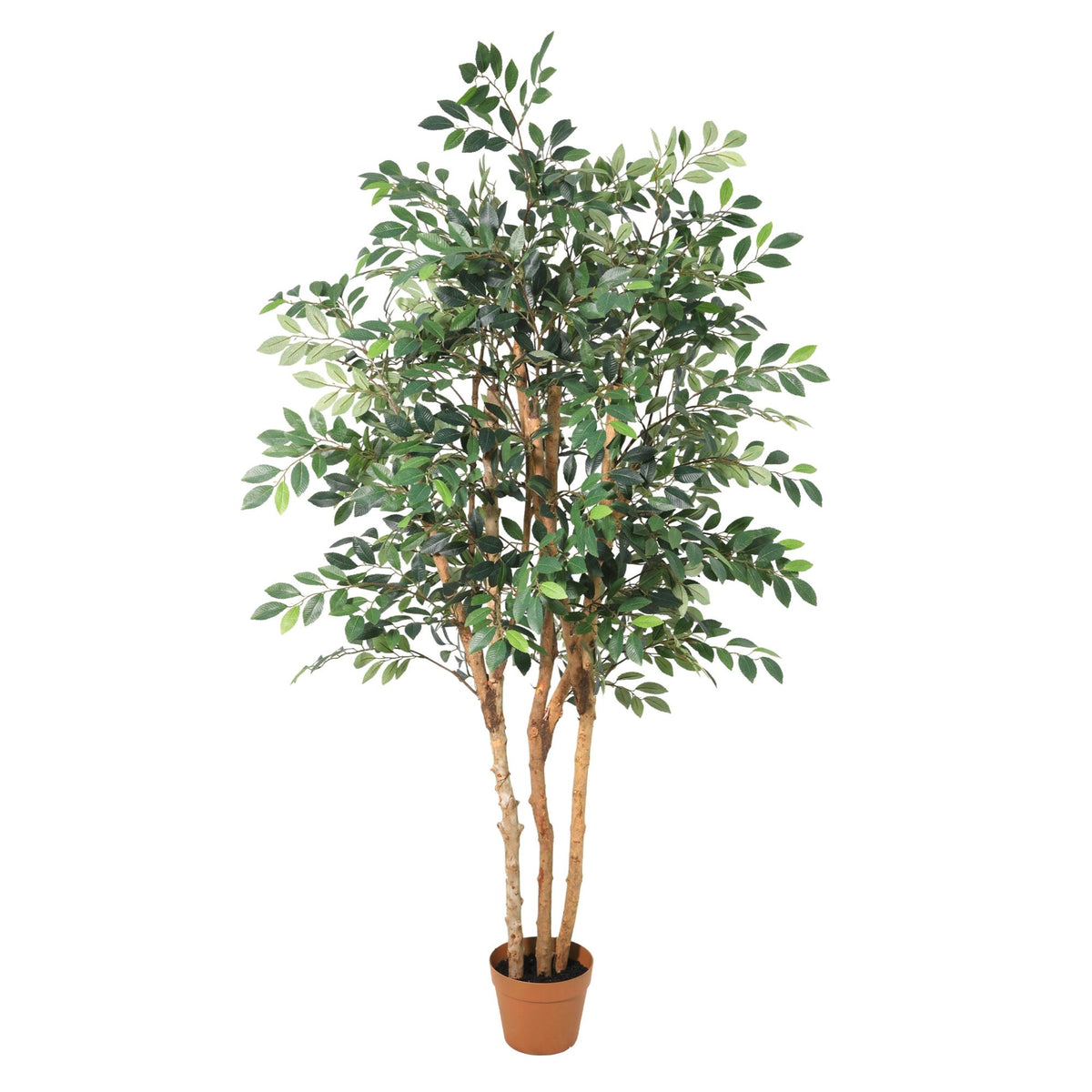 ARTIFICIAL Ficus Exotica