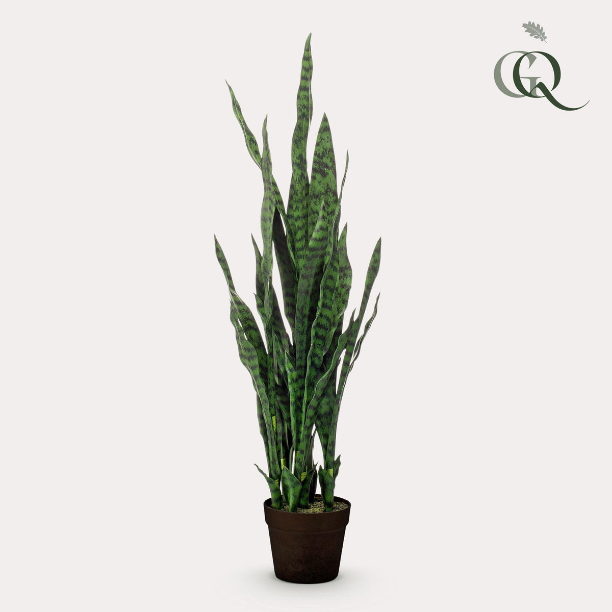 Kunstpflanze - Sansevieria Black Coral - Bogenhanf