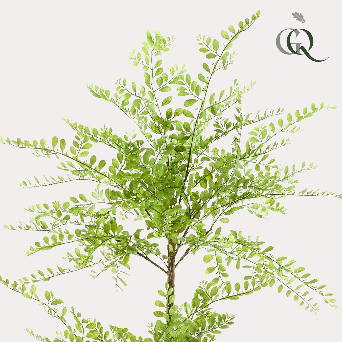 kunstplant - Sophora tree  - Honingboom