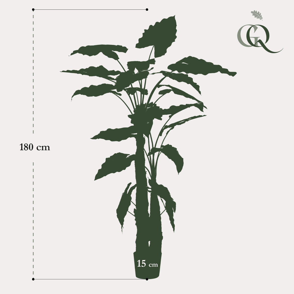 Kunstpflanze - Alocasia