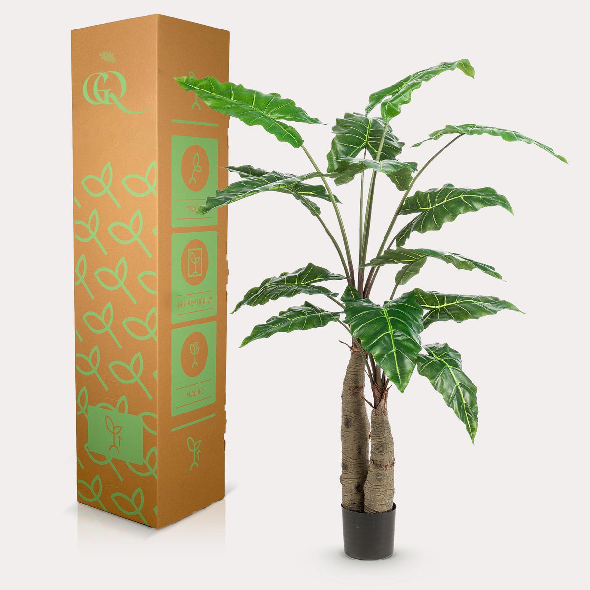 Kunstpflanze - Alocasia