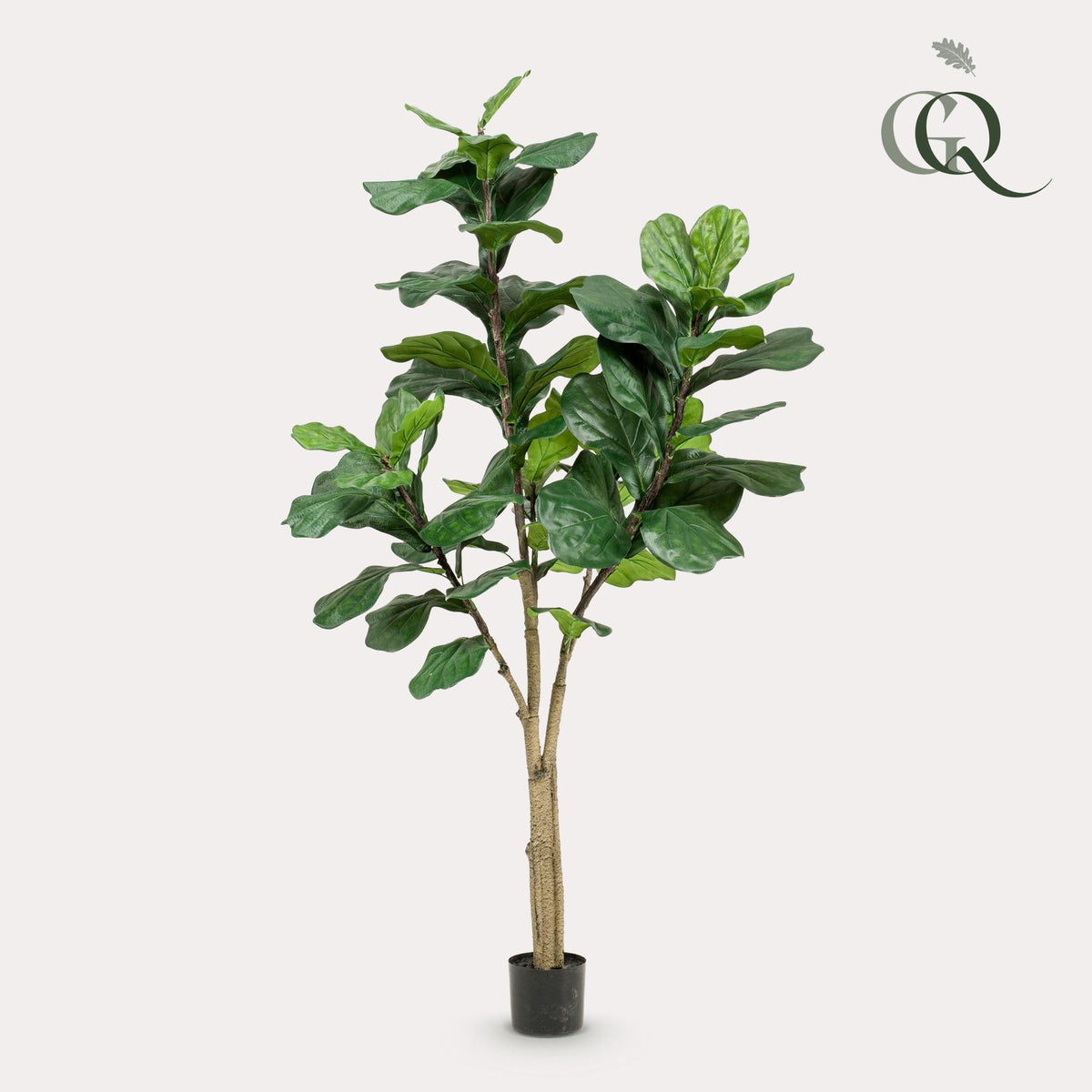 Kunstpflanze - Ficus Lyrata - Tabakspflanze