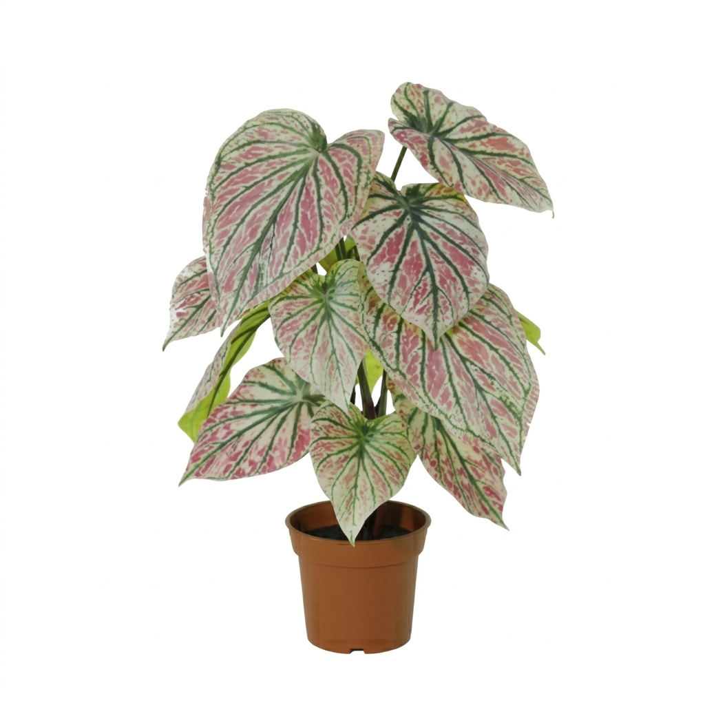 ARTIFICIAL Caladium green / pink