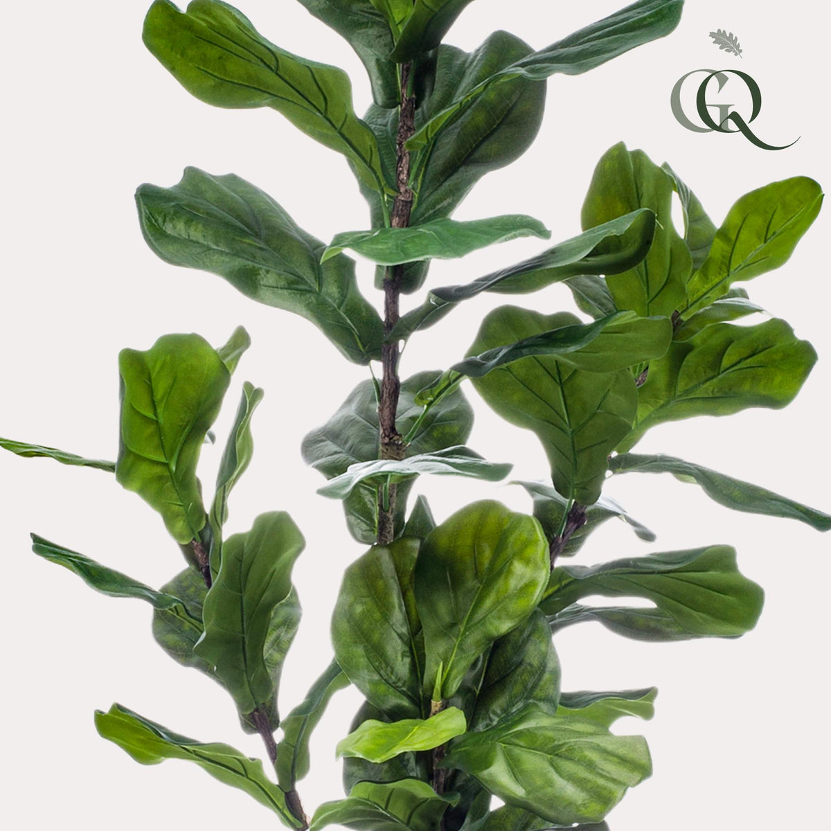 kunstplant - Ficus Lyrata  - Tabaksplant