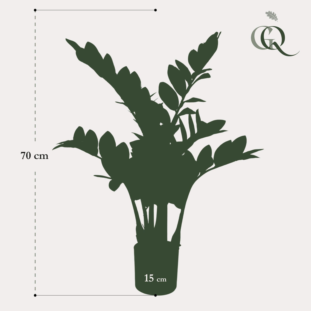 Kunstpflanze - Zamioculcas - Zimmerpalme