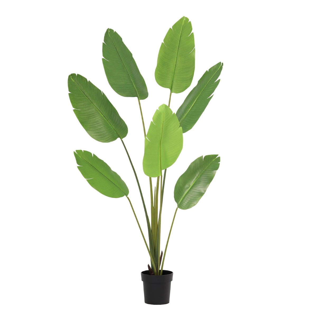 ARTIFICIAL Strelitzia Nicolai