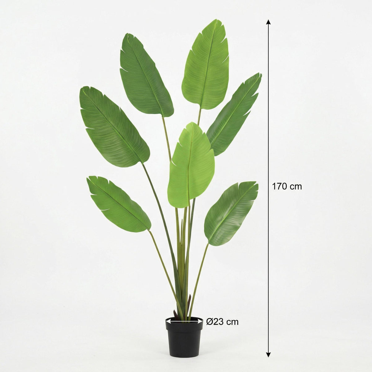 ARTIFICIAL Strelitzia Nicolai