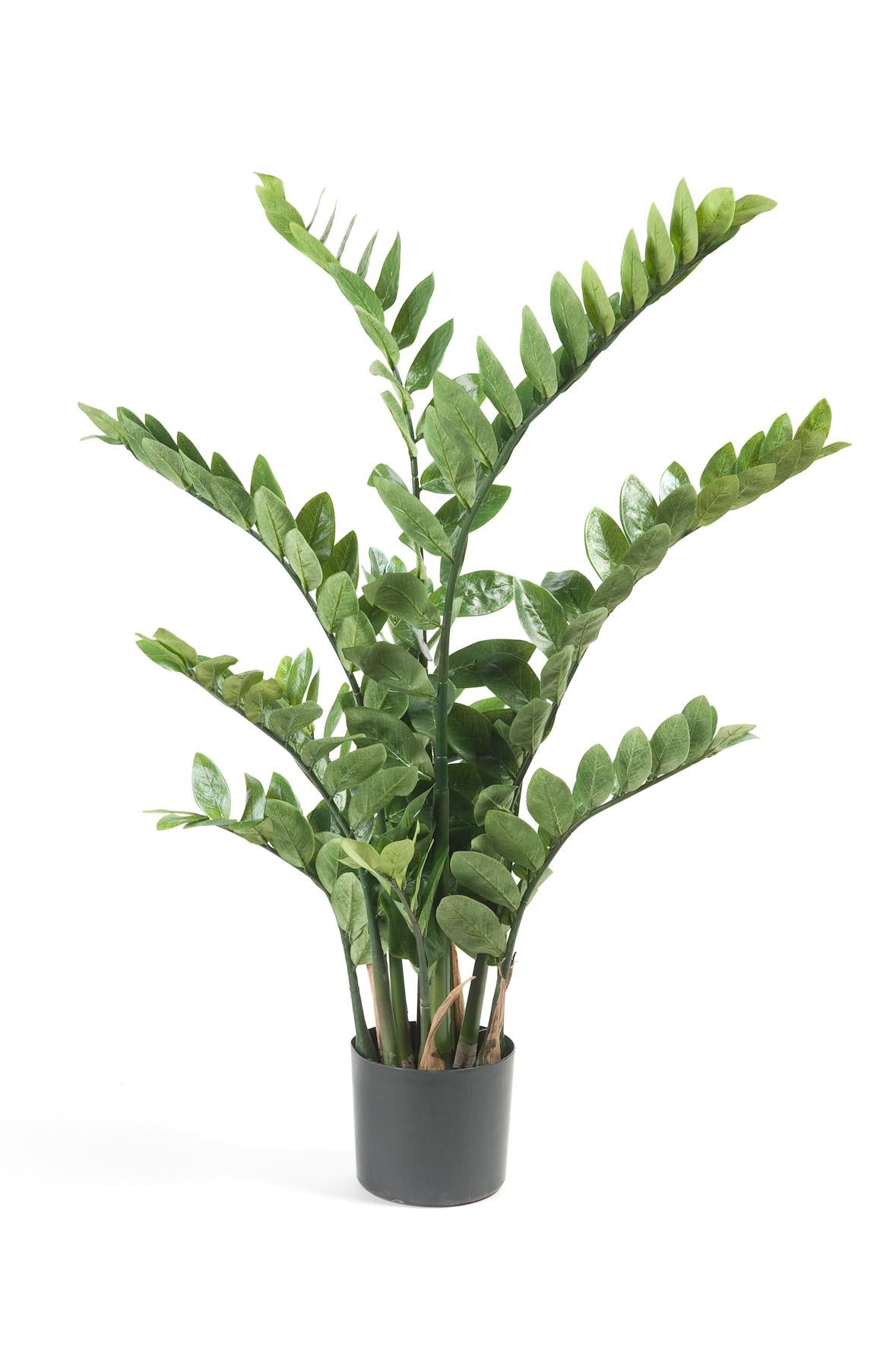 Kunstpflanze - Zamioculcas - Zimmerpalme