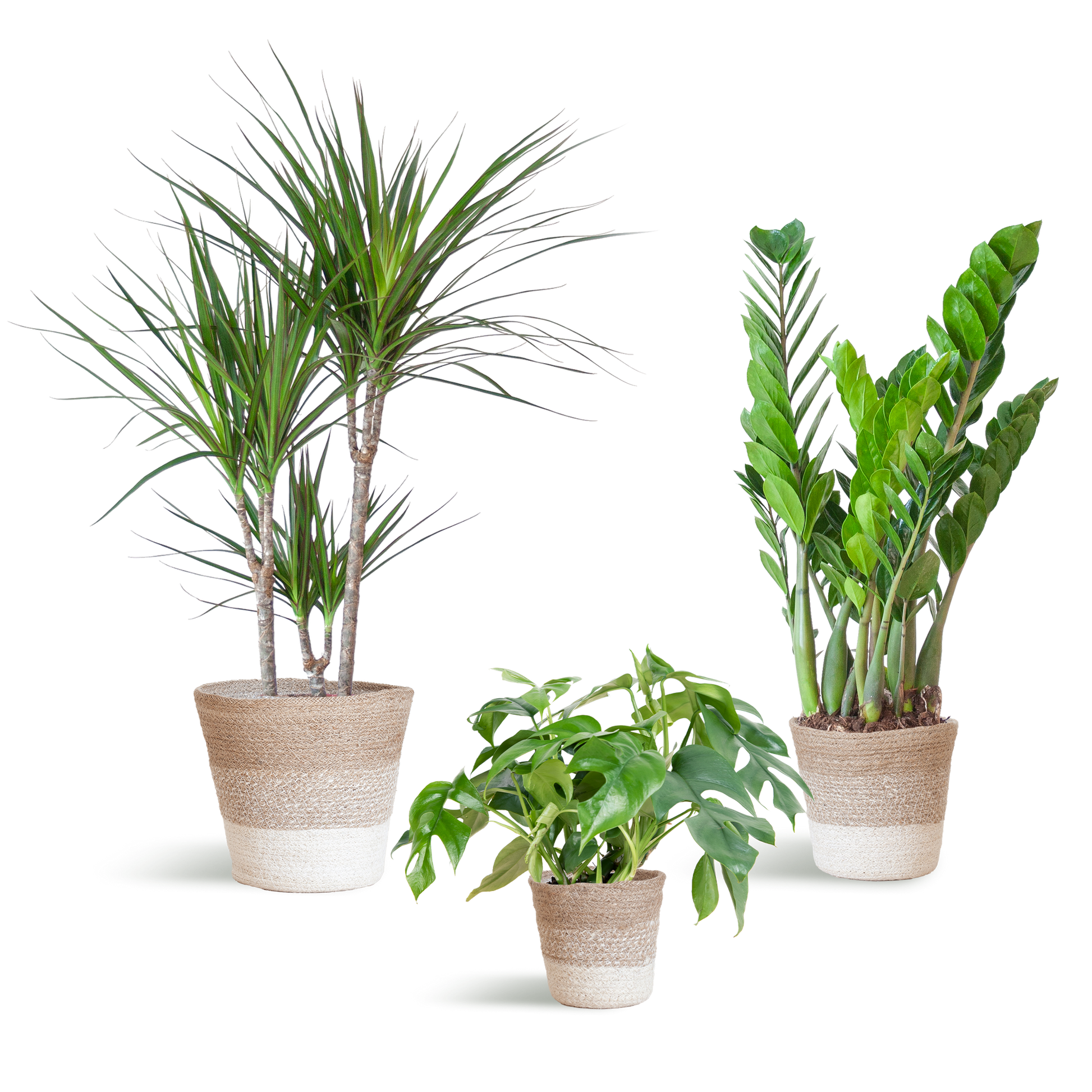 Shade Pflanzkasten - medium - mit Korb Lissabon weiß