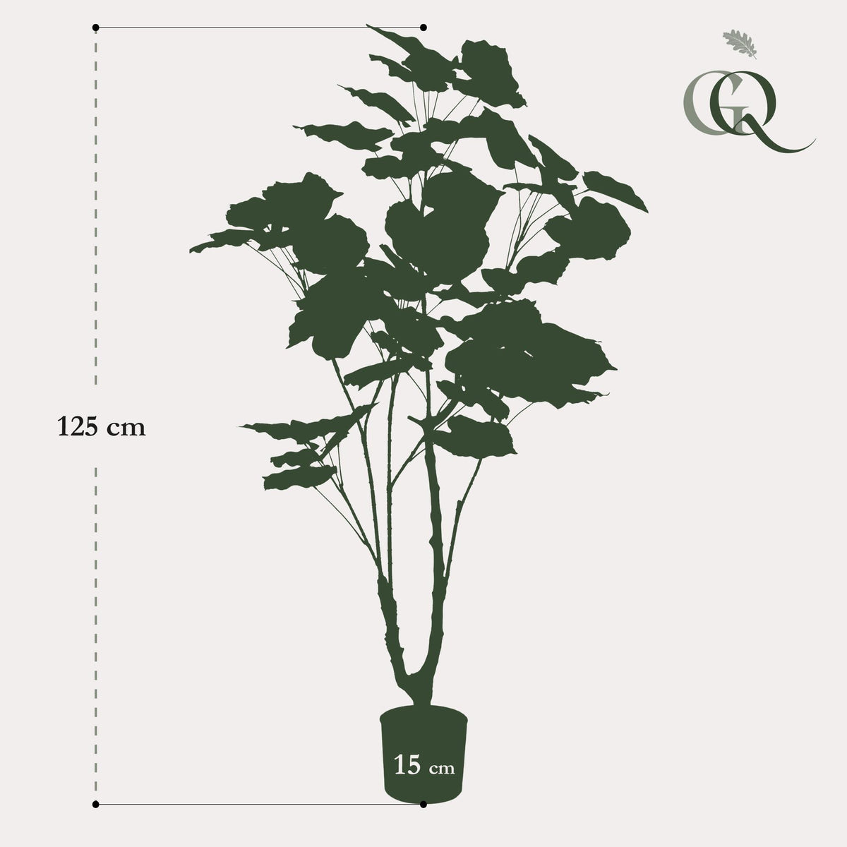 Kunstplant - Ficus umbellate - Afrikaanse vijg