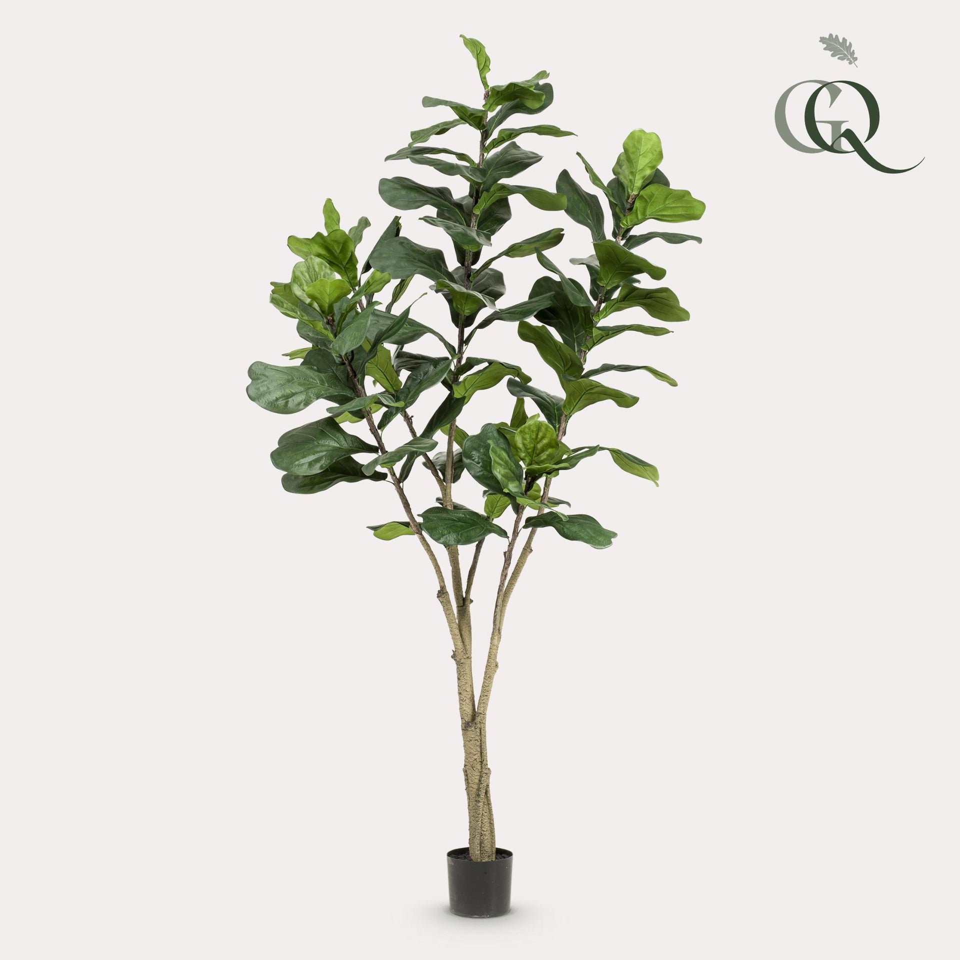 Kunstpflanze Ficus Lyrata (Geigenfeige) – 210 cm