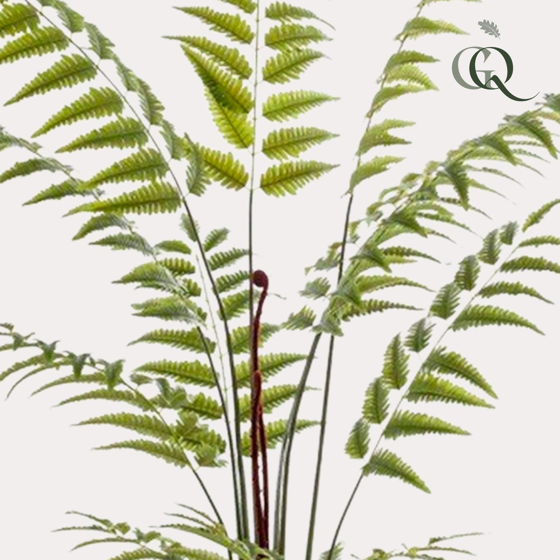 Kunstpflanze - Rumohra adiantiformis - Lederfarn
