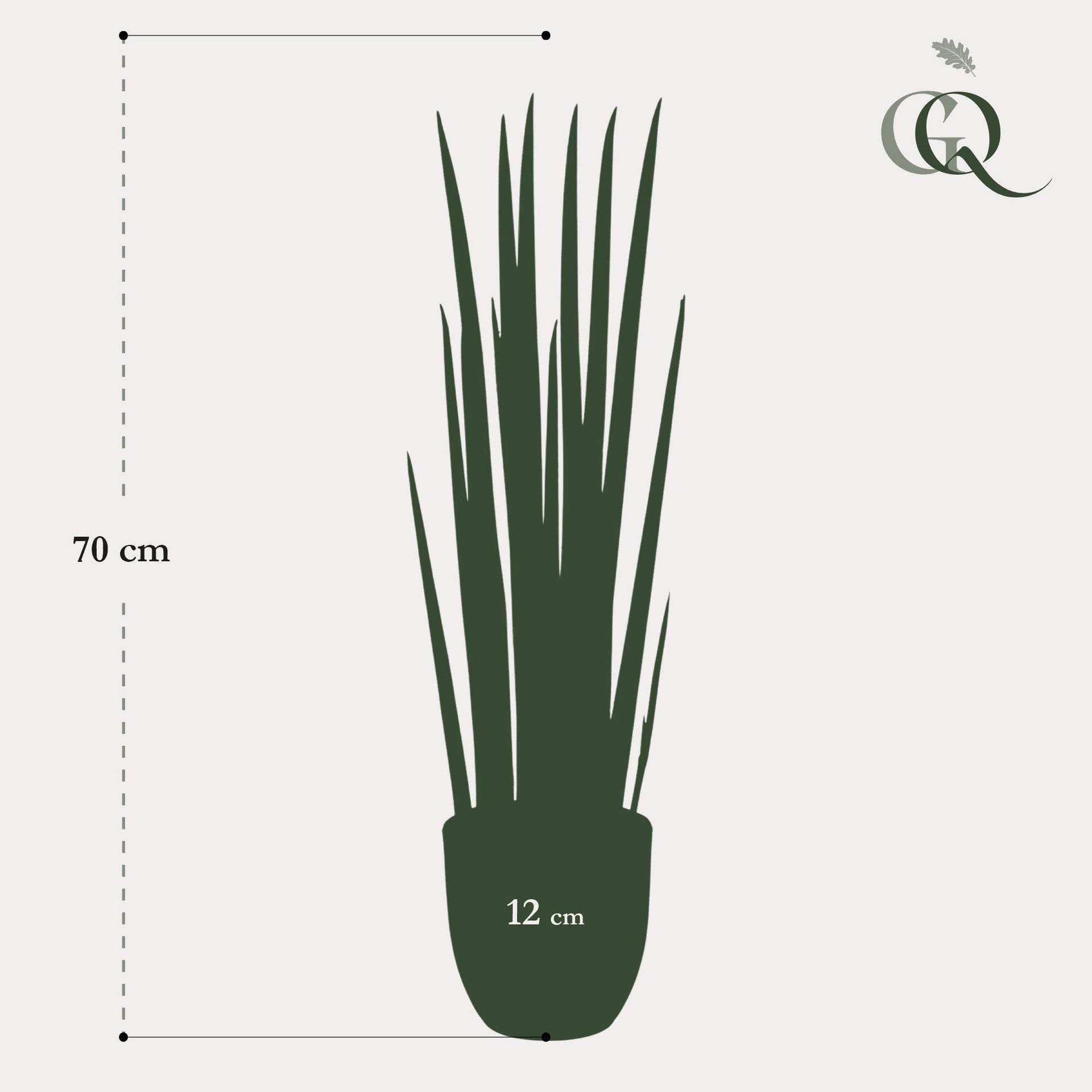 Kunstpflanze – Sansevieria Cylindrica – Bogenhanf – 70 cm