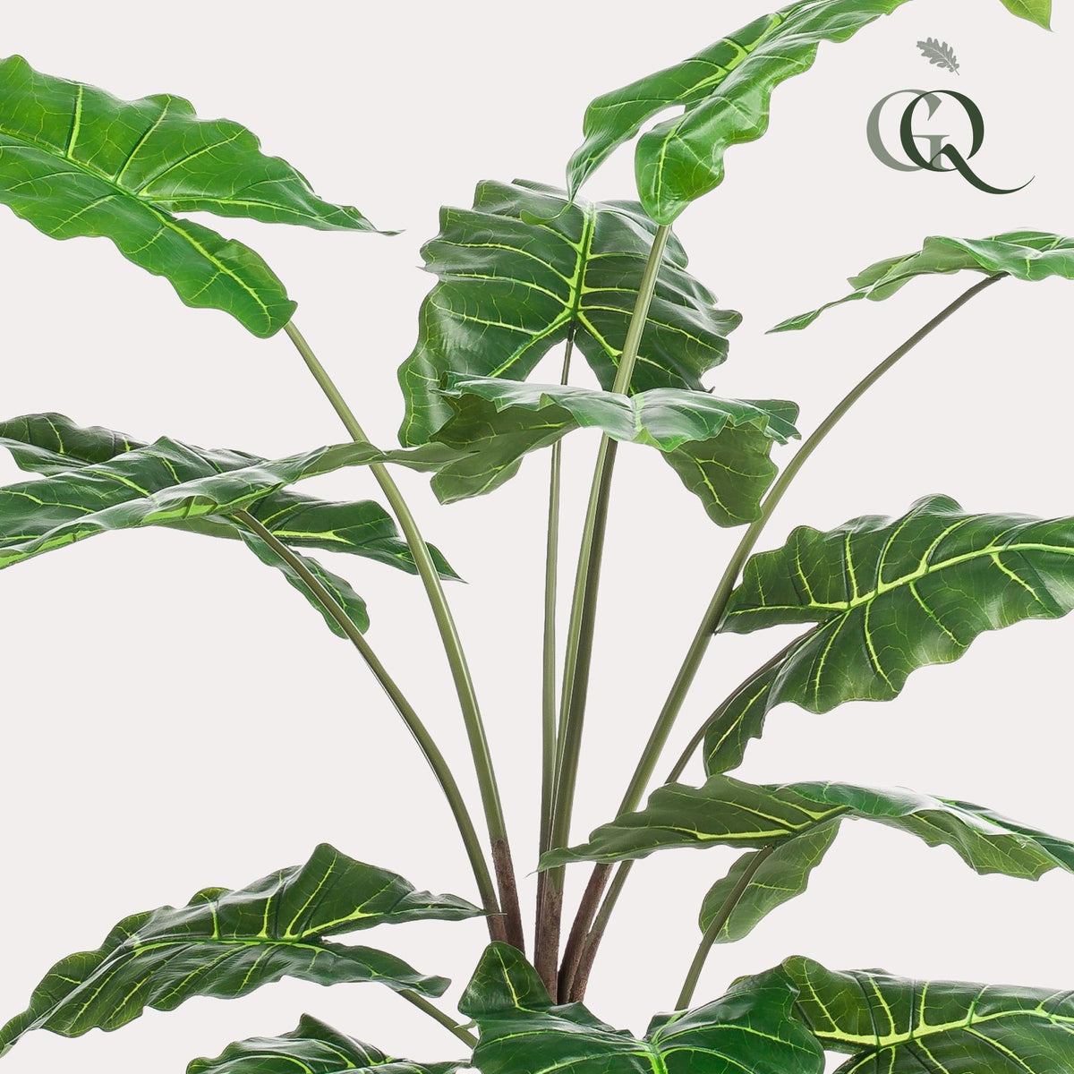 Kunstpflanze - Alocasia