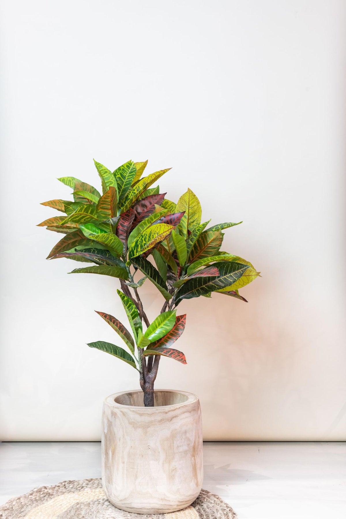 Kunstpflanze - Croton Codiaeum - Wunderstrauch
