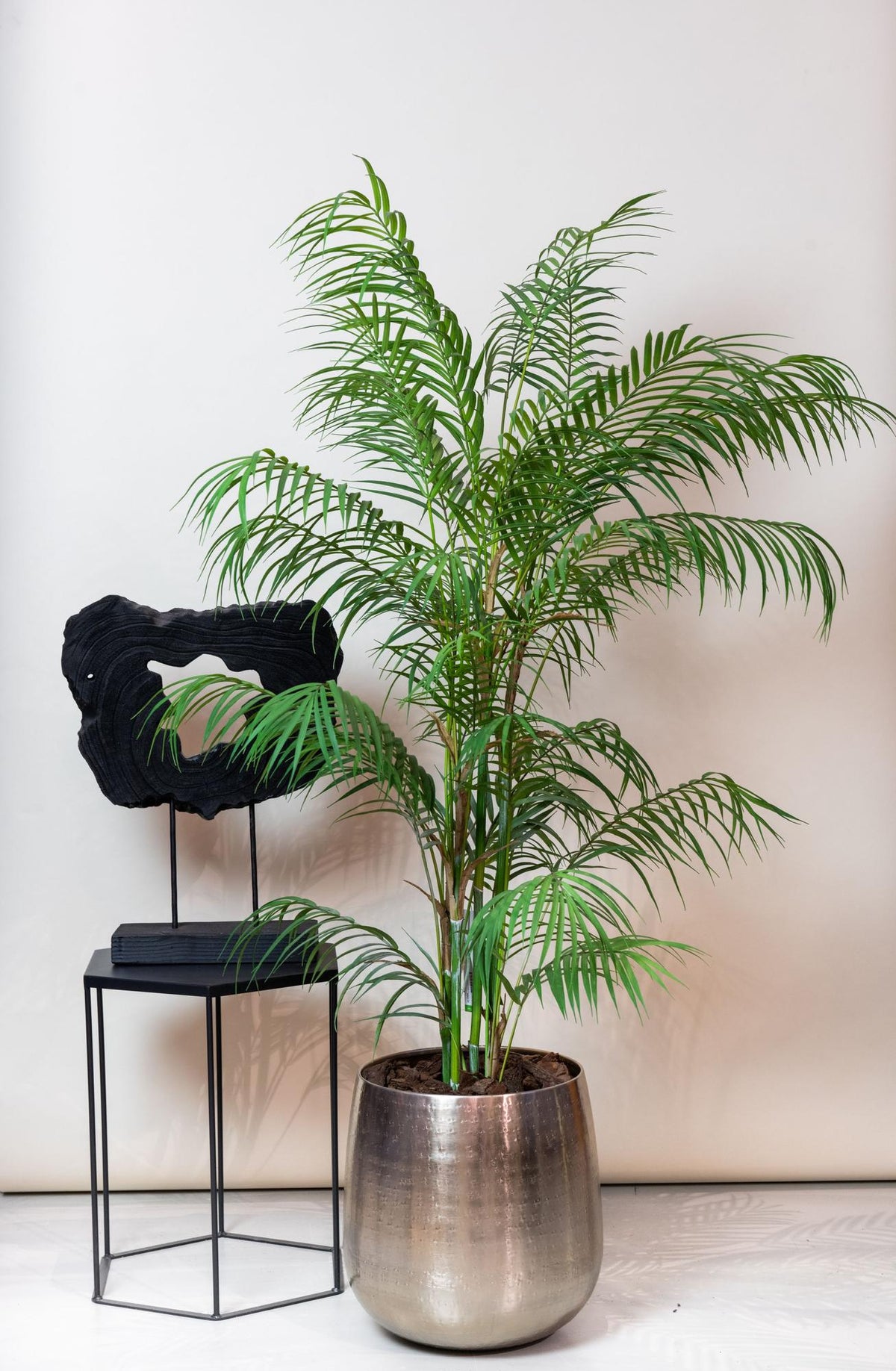 Kunstpflanze - Chamaedorea Elegans - Bergpalme