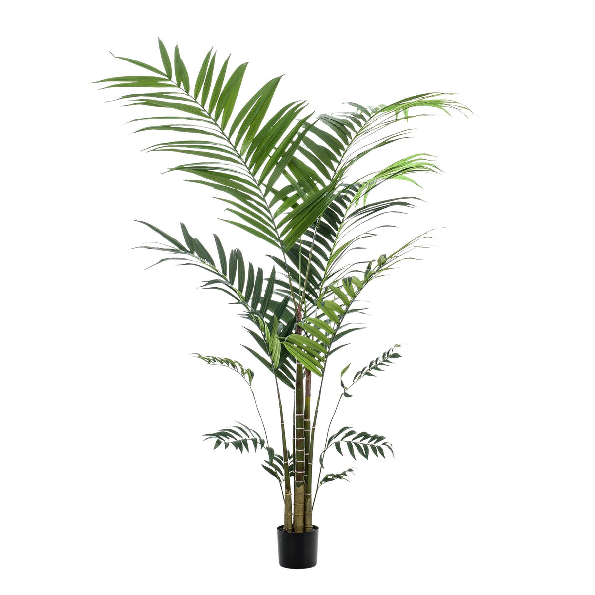 Kunstplant - Kentia -Kentiapalm