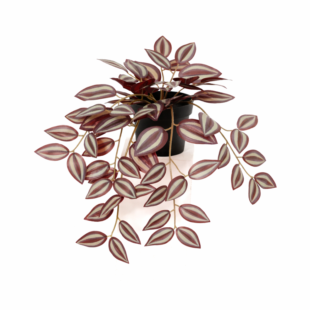 ARTIFICIAL Tradescantia