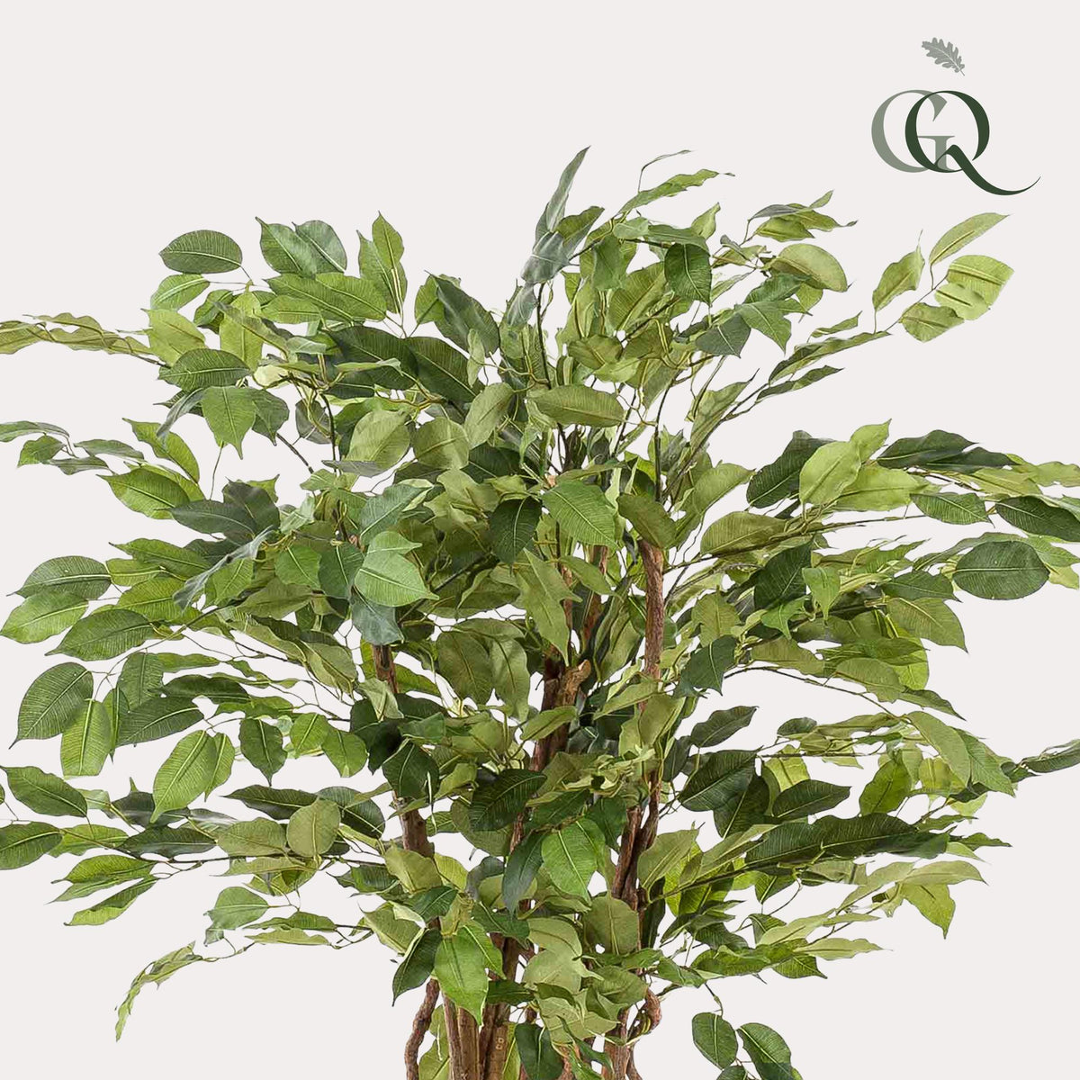 kunstplant - Ficus liana  - Vioolbladplant