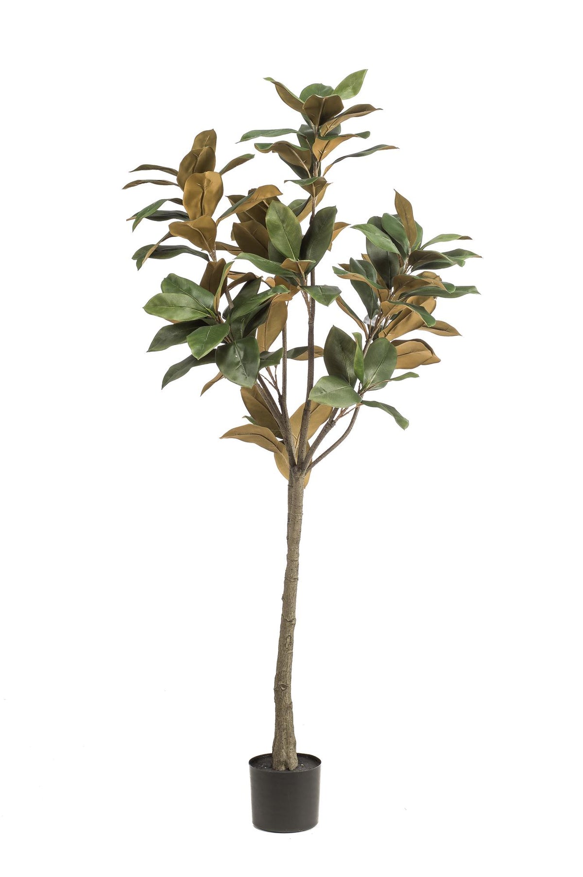 Kunstpflanze - Magnolia Grandiflora