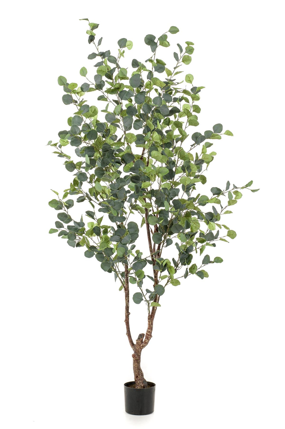 Kunstpflanze - Eucalyptusbaum - Blauer Gummibaum