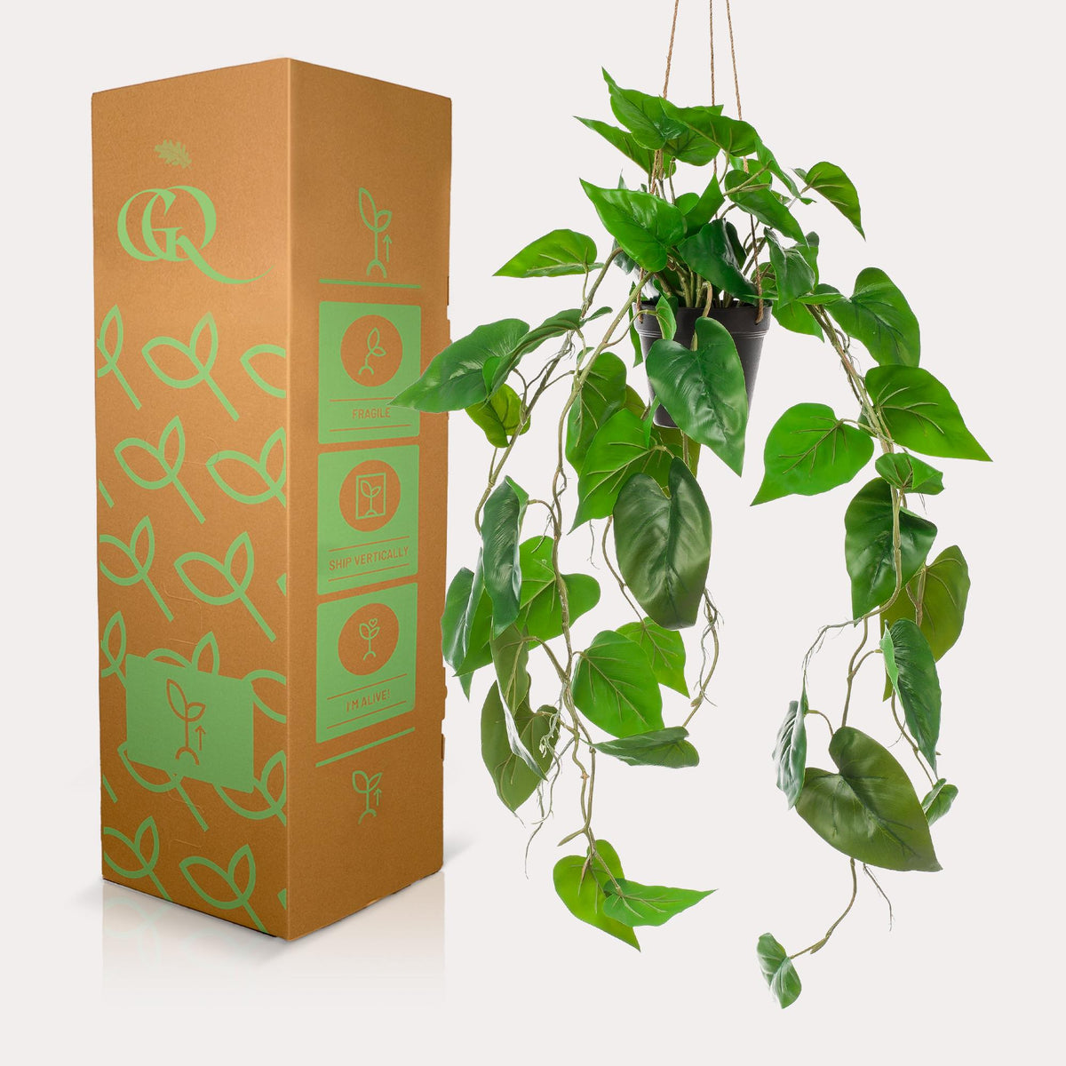 Kunstpflanze - Philodendron Hängepflanze
