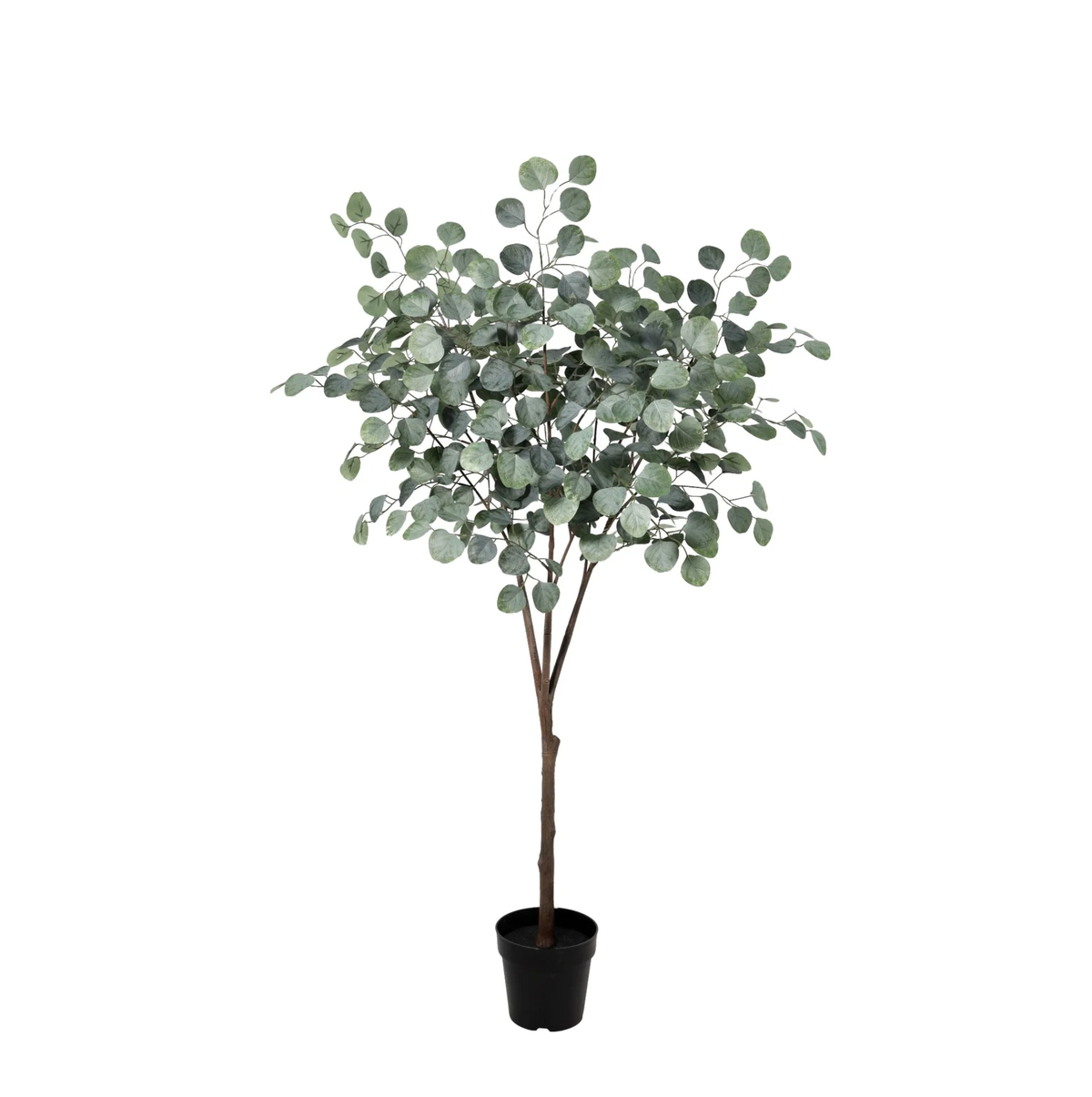 ARTIFICIAL Eucalyptus tree