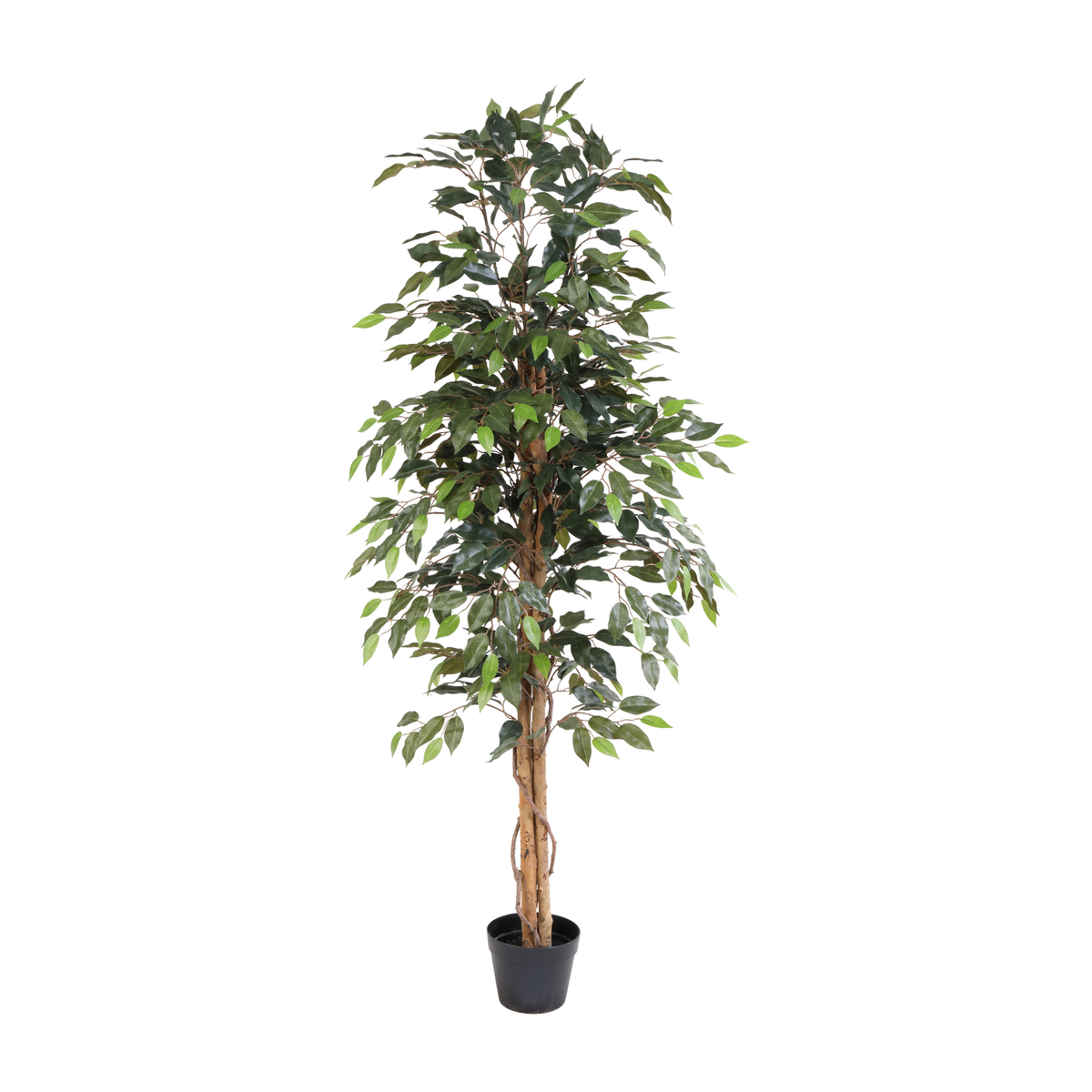 ARTIFICIAL Ficus Benjamina