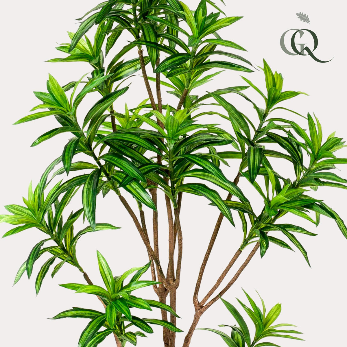 Kunstpflanze - Dracaena - Drachenbaum