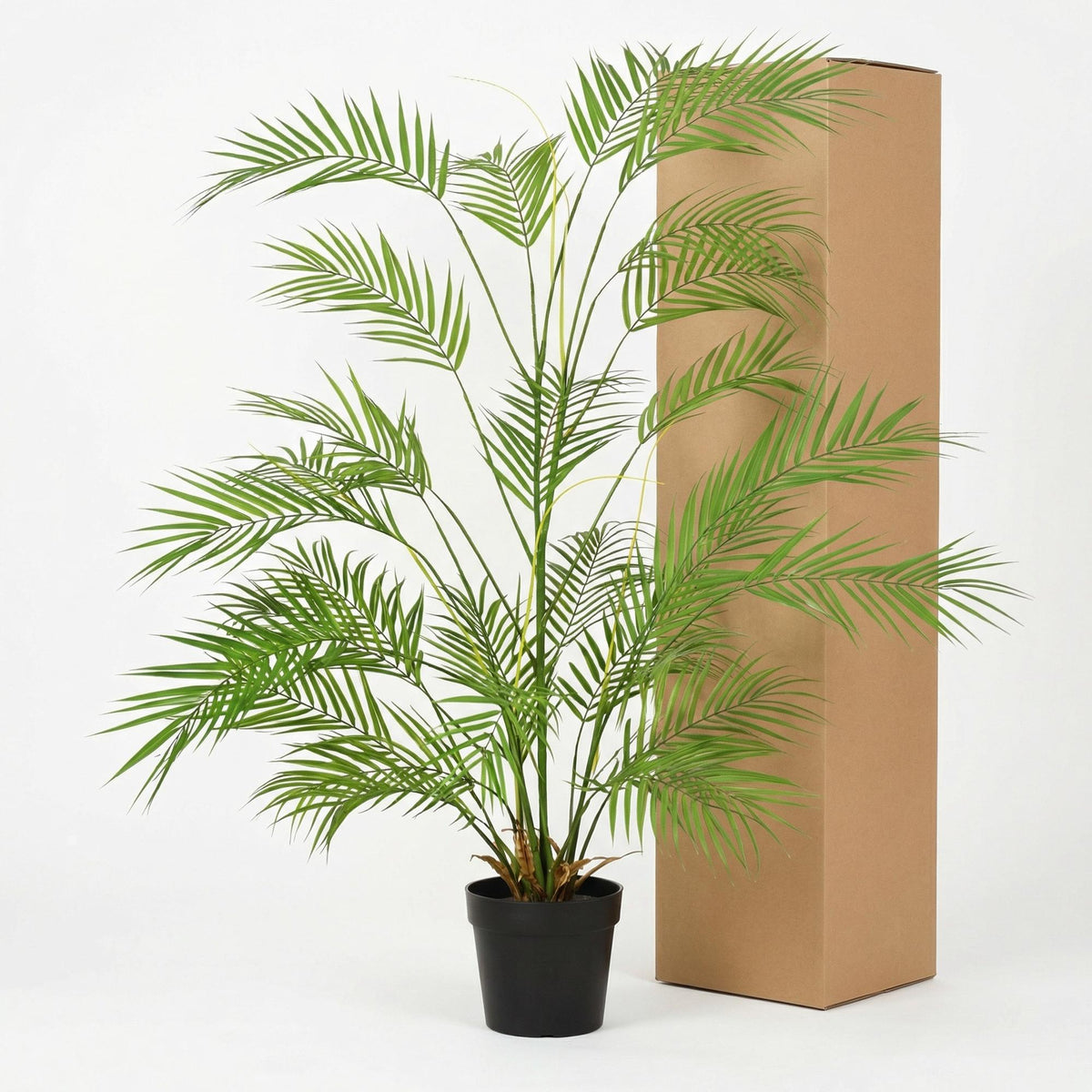 ARTIFICIAL Areca